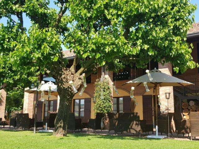 Agriturismo La Camilla Конкореццо Экстерьер фото